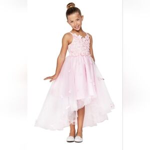 Elegant Pink High And Low Lace Tulle Dress